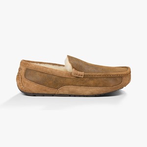 Ugg Ascot Bomber Men Slippers Brown (9426UZQMO)